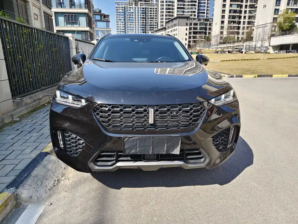 WEI PAI WEI BRAND VV7