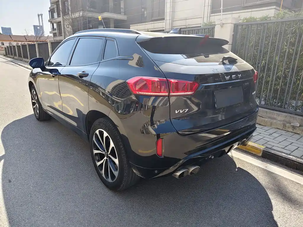 WEI PAI WEI BRAND VV7