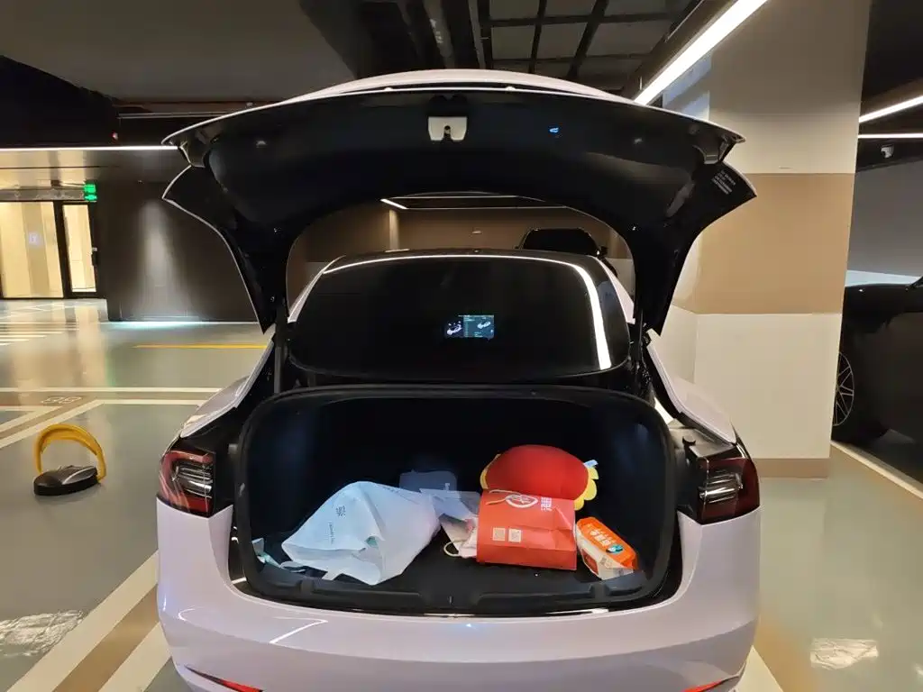 Tesla Model 3 — миниатюра 20
