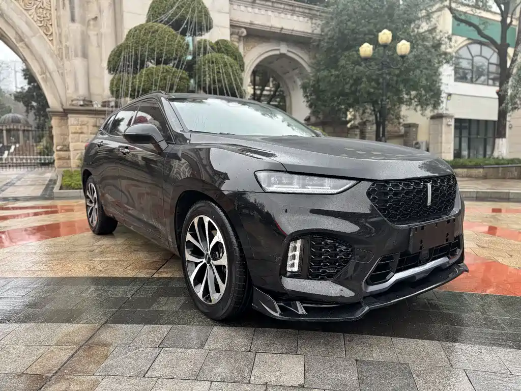 WEI PAI WEI BRAND VV7