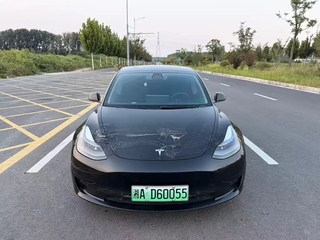 Tesla Model 3 — миниатюра 2