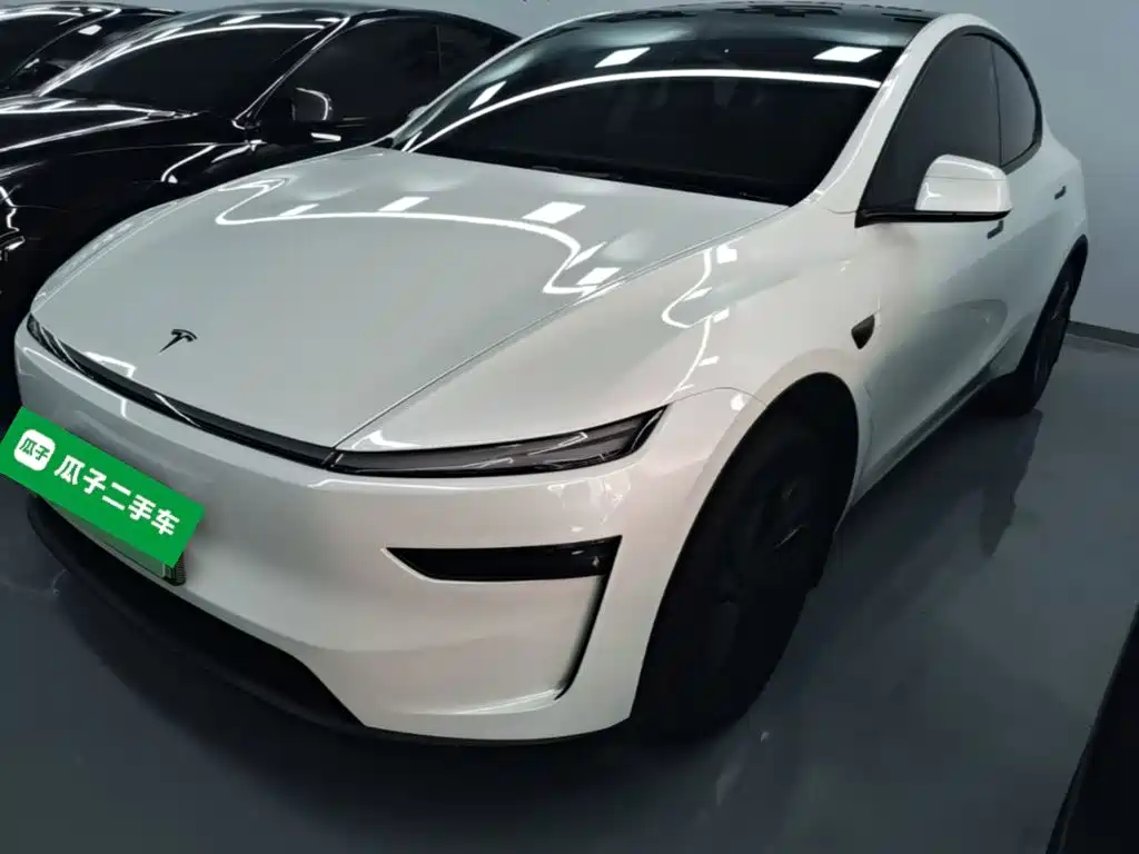 Tesla Model Y — миниатюра 2