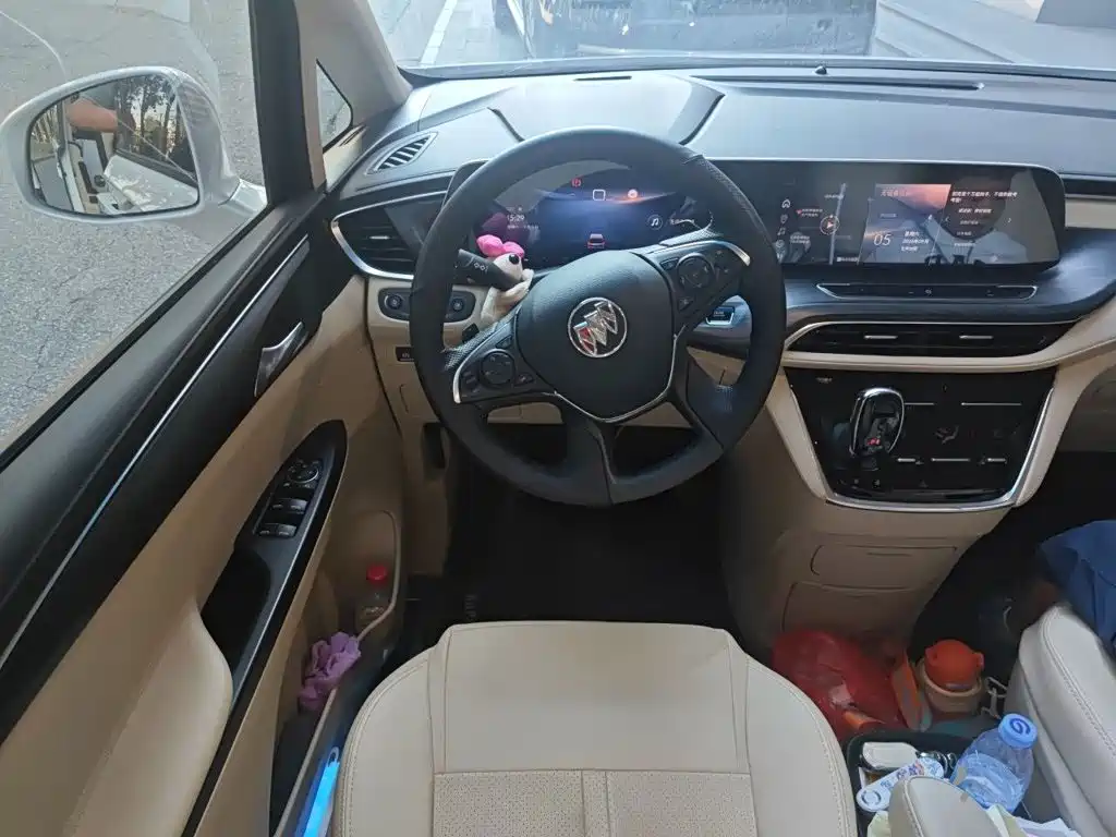 Buick GL8 — миниатюра 6