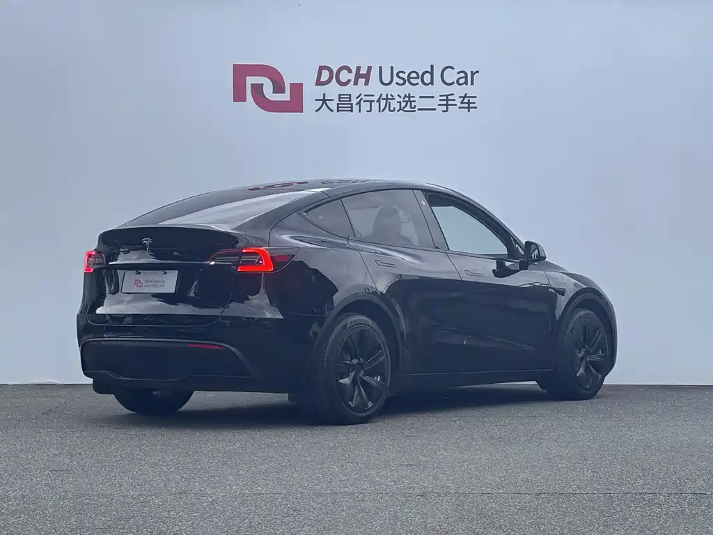 Tesla Model Y — миниатюра 5