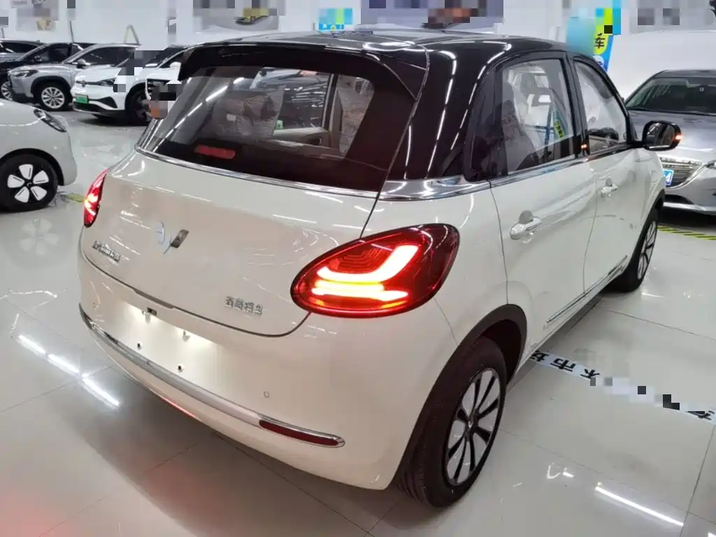 Wuling Binguo 2025 333km Enjoy