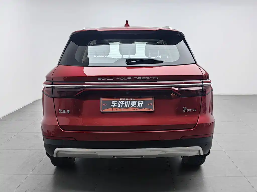 BYD Pro — миниатюра 4