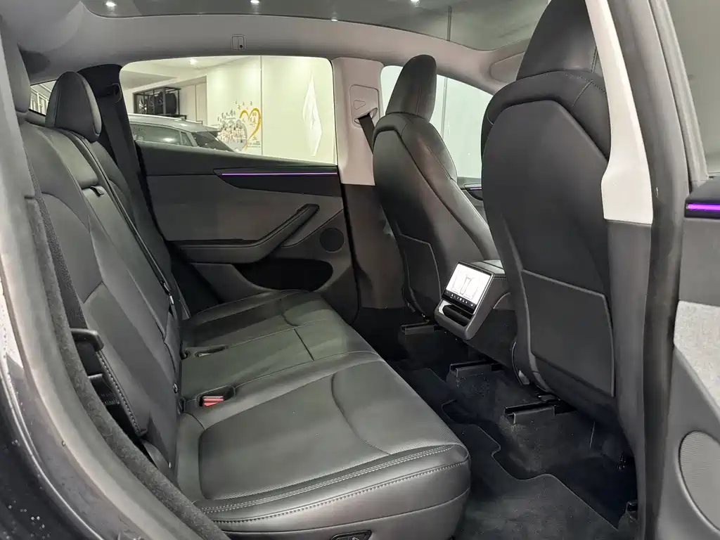 Tesla Model Y — миниатюра 9