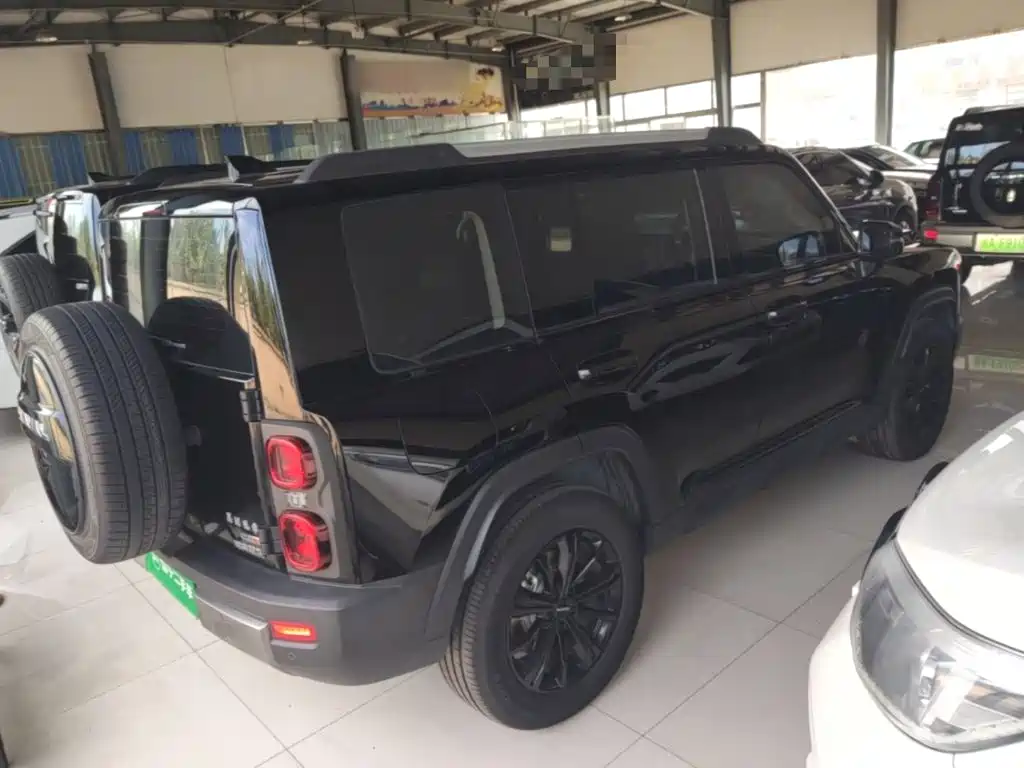 Haval Menglong New Energy — миниатюра 7