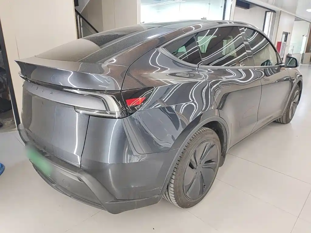 Tesla Model Y — миниатюра 7
