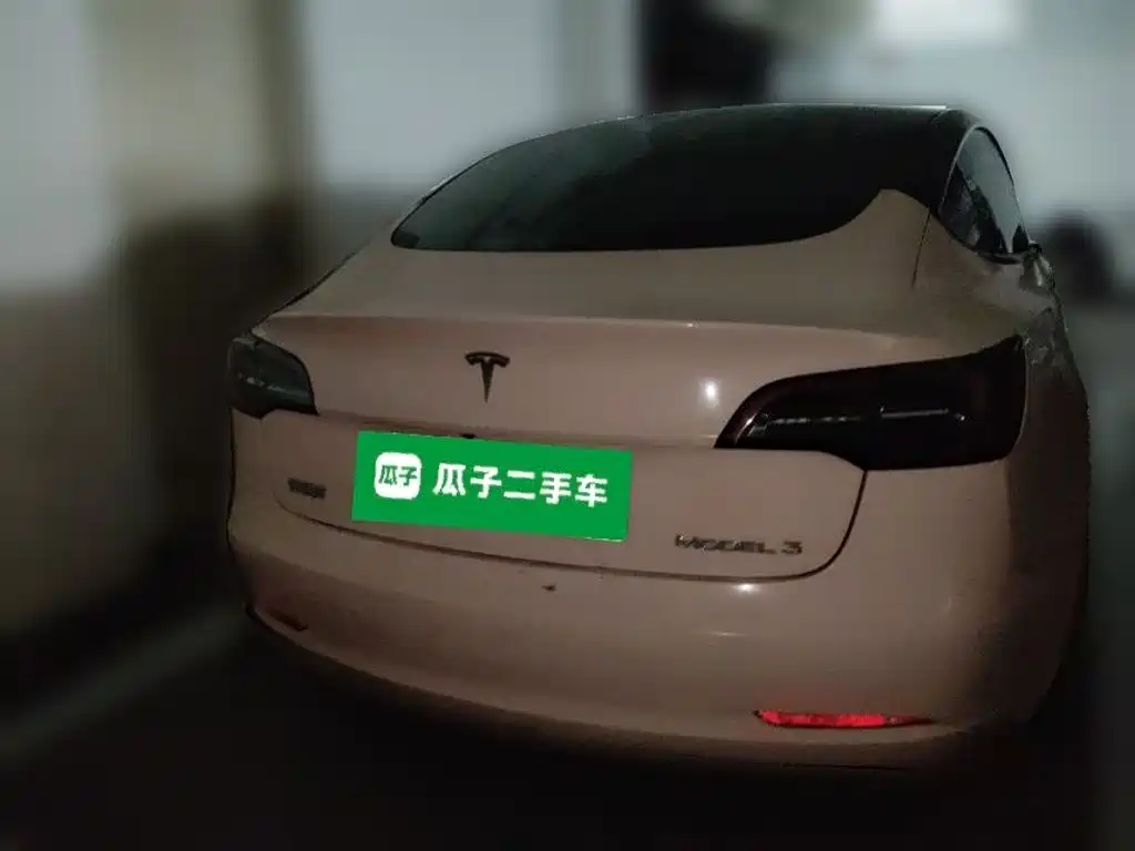 Tesla Model 3 — миниатюра 3