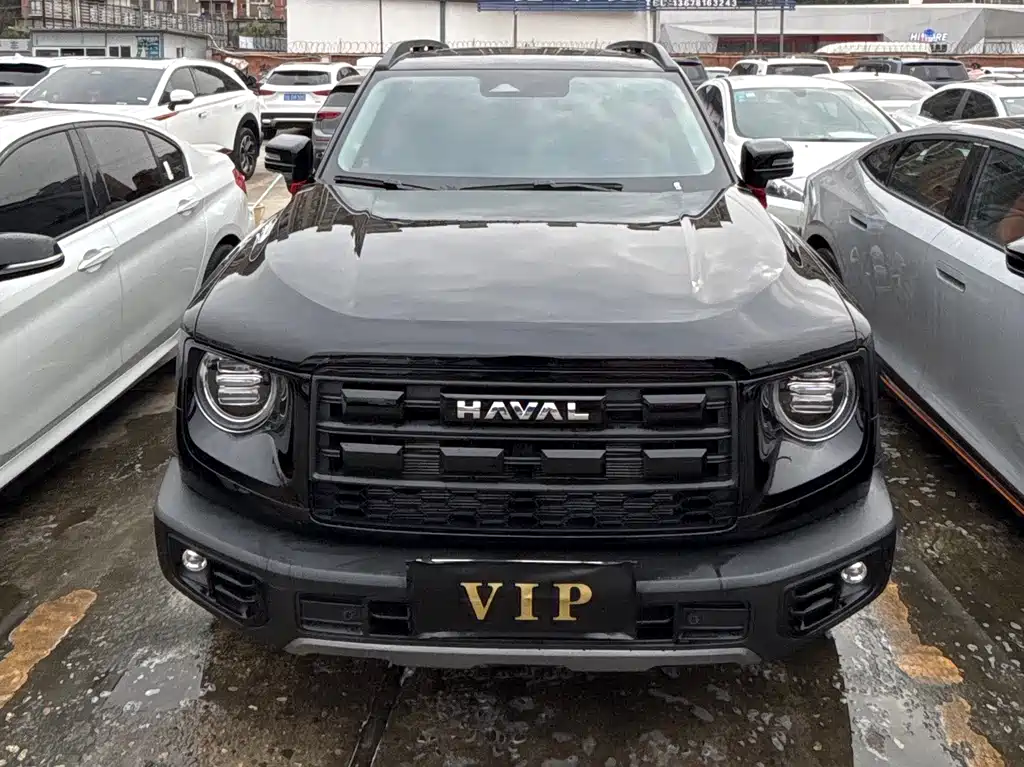 HAVAL BIG DOG