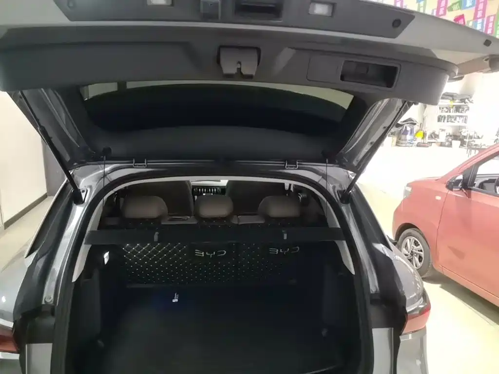 BYD Yuan Plus — миниатюра 19