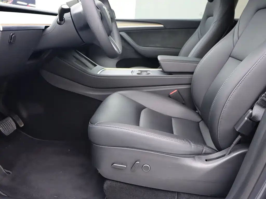 Tesla Model Y — миниатюра 5