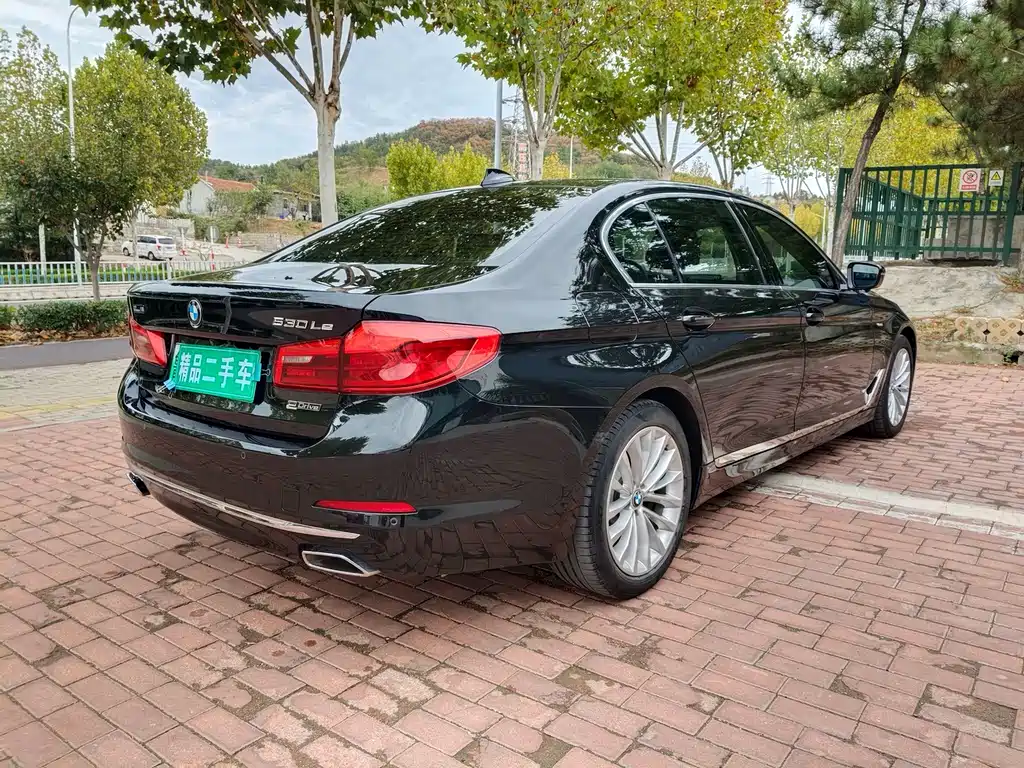 BMW 5 Series New Energy — миниатюра 4