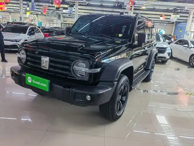 2021 TANK 300
