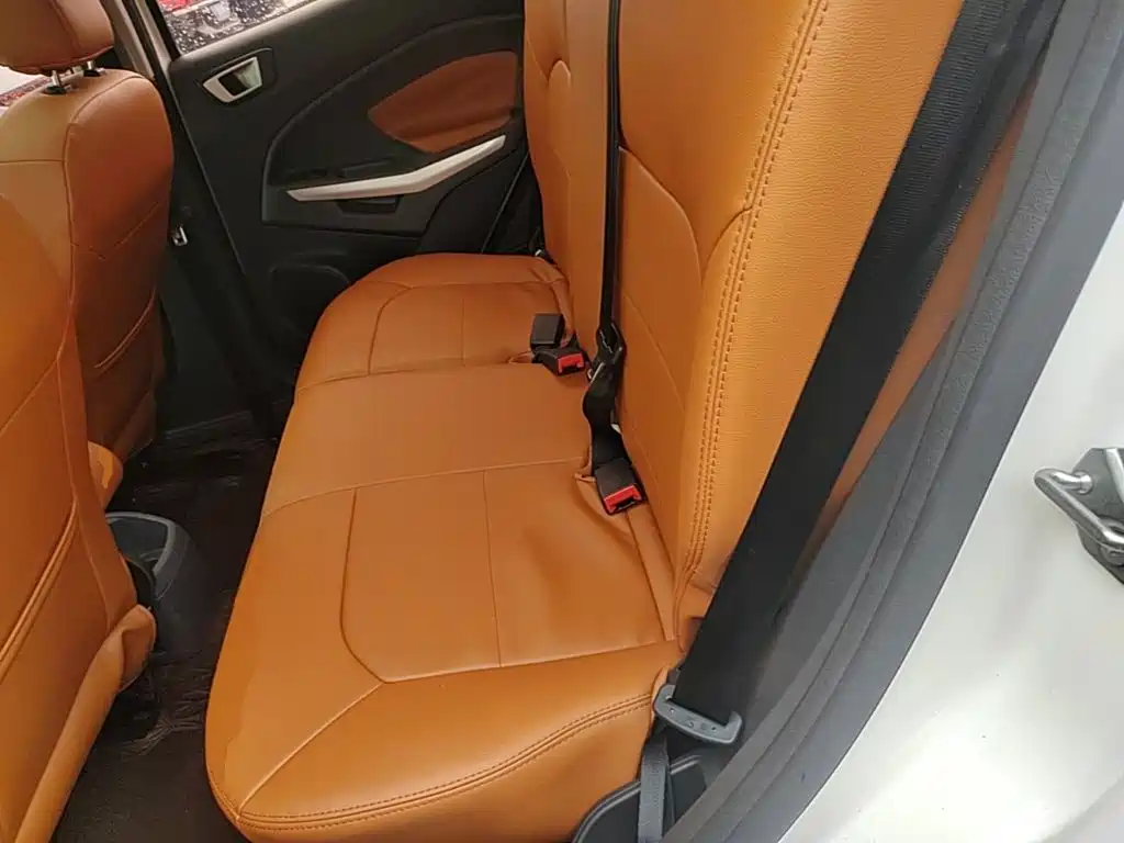 Ford Ecosport — миниатюра 17