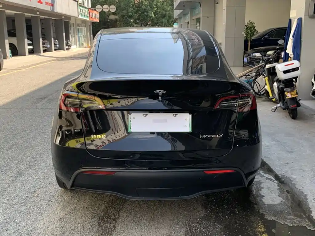 Tesla Model Y — миниатюра 25