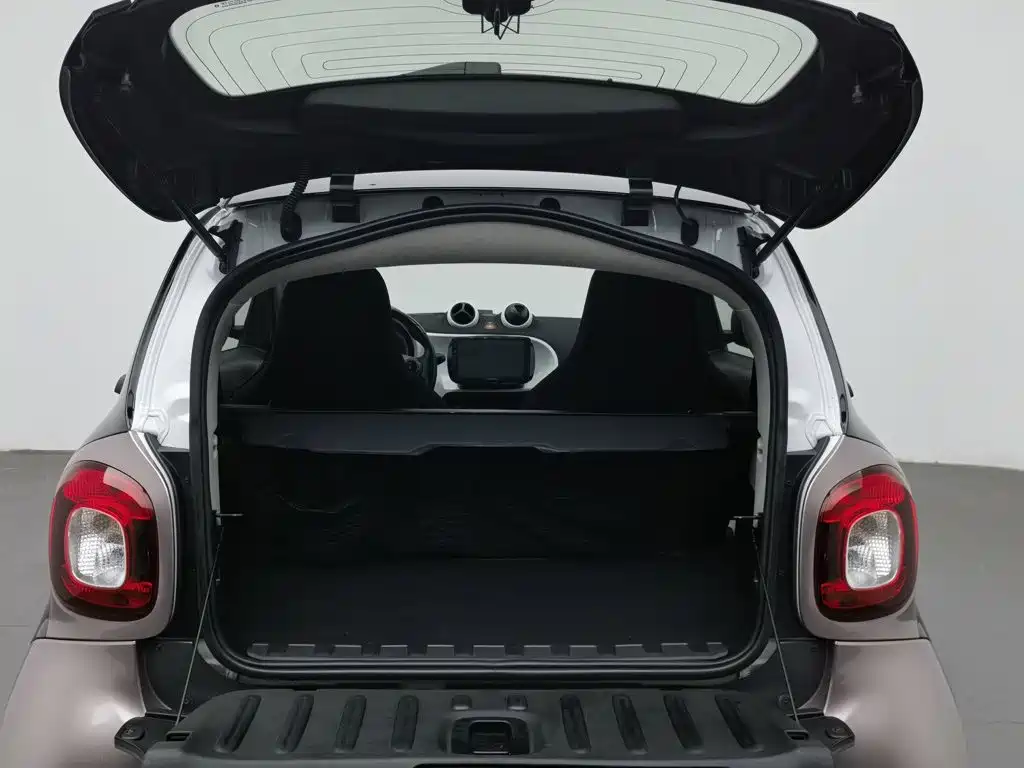 smart Smart Fortwo — миниатюра 16