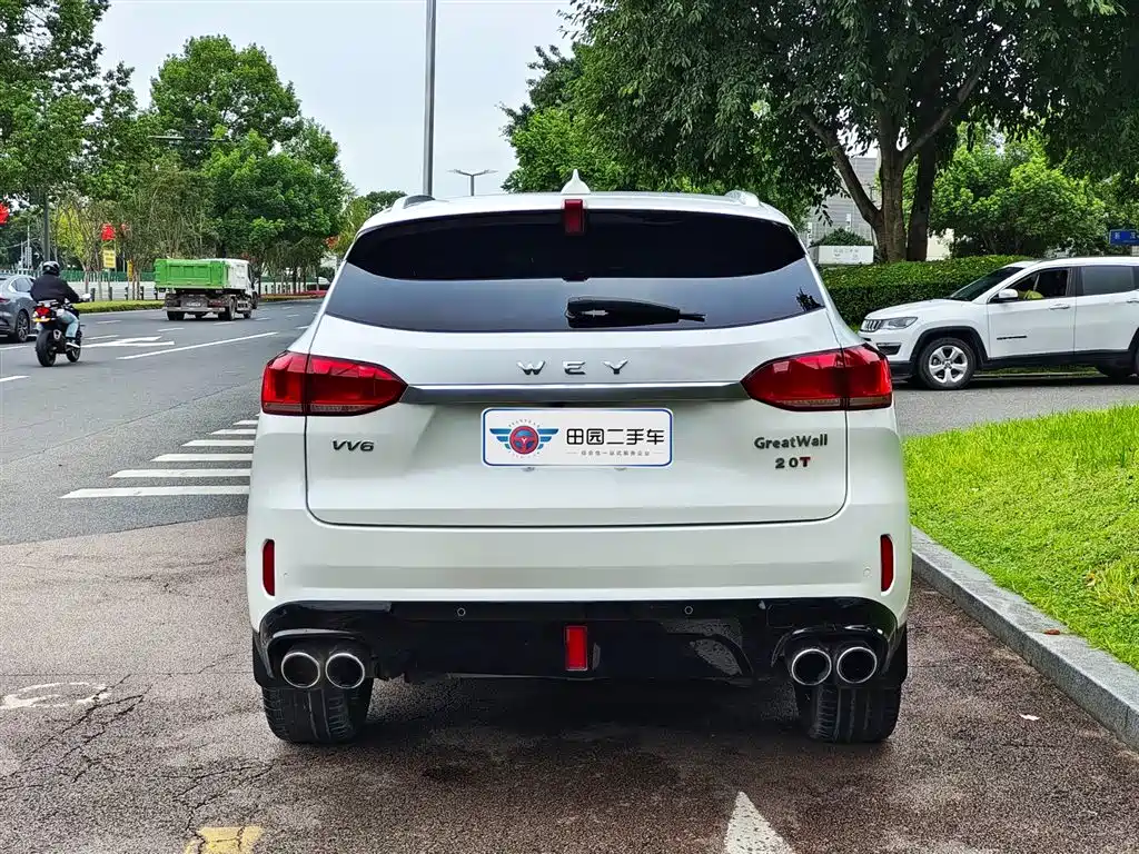 WEI PAI WEI BRAND VV6