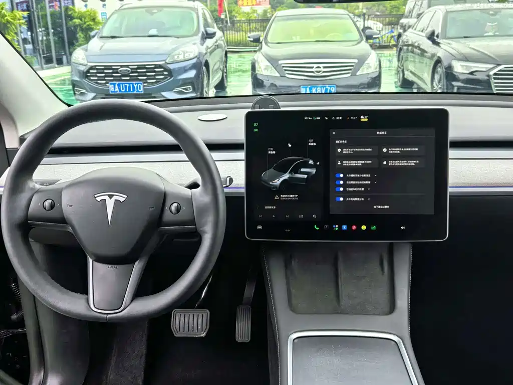 Tesla Model Y — миниатюра 6