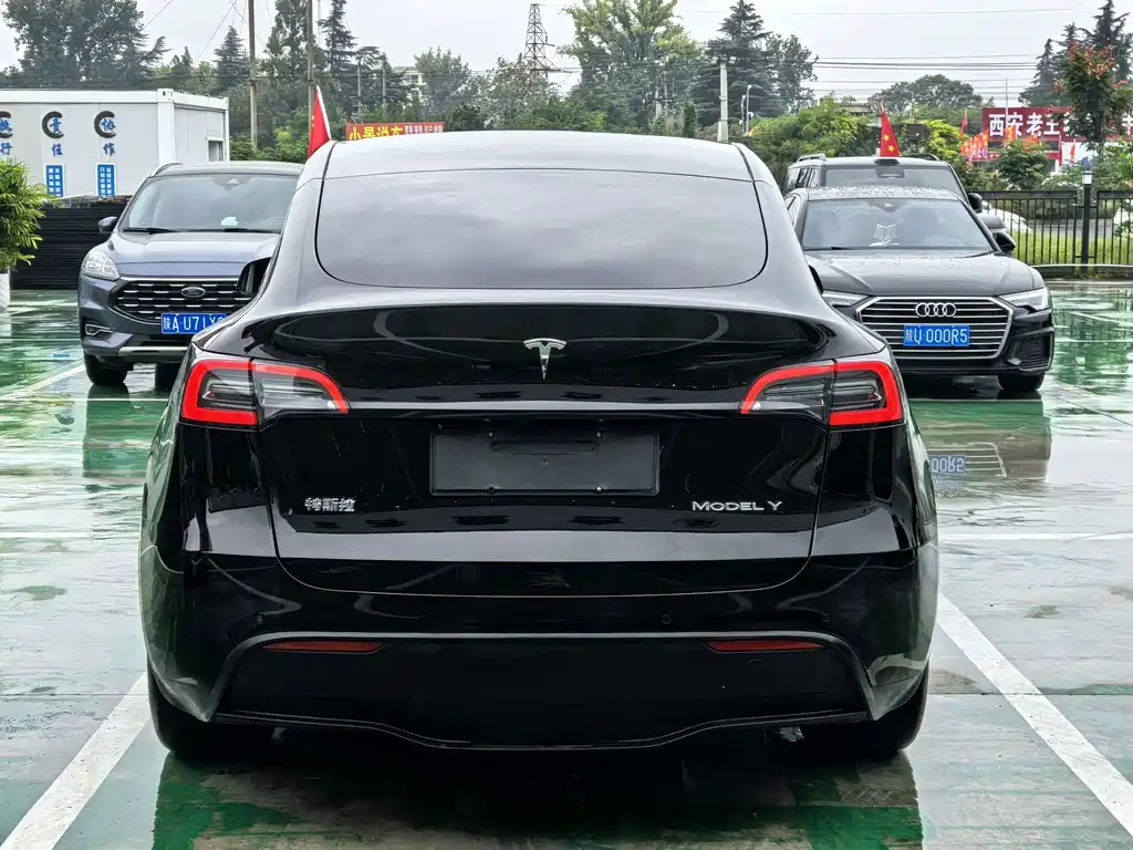 Tesla Model Y — миниатюра 21