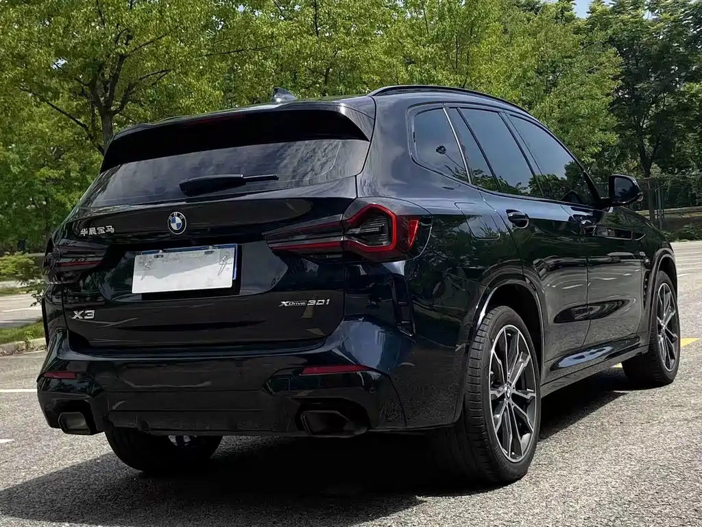 BMW X3 — миниатюра 7
