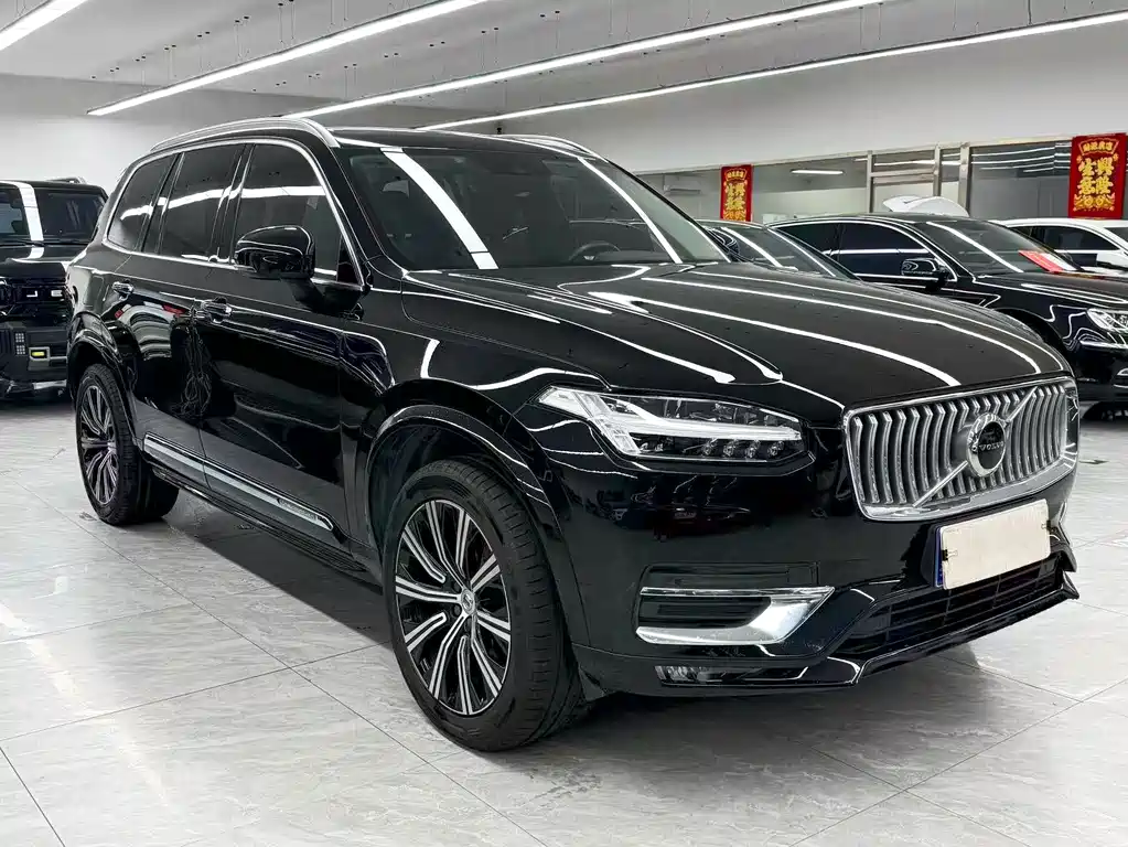 Volvo XC90 — миниатюра 3