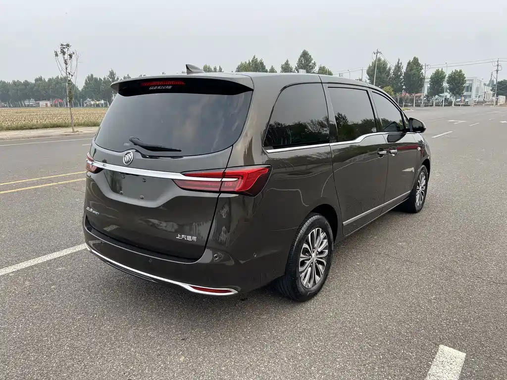 Buick GL8 — миниатюра 4