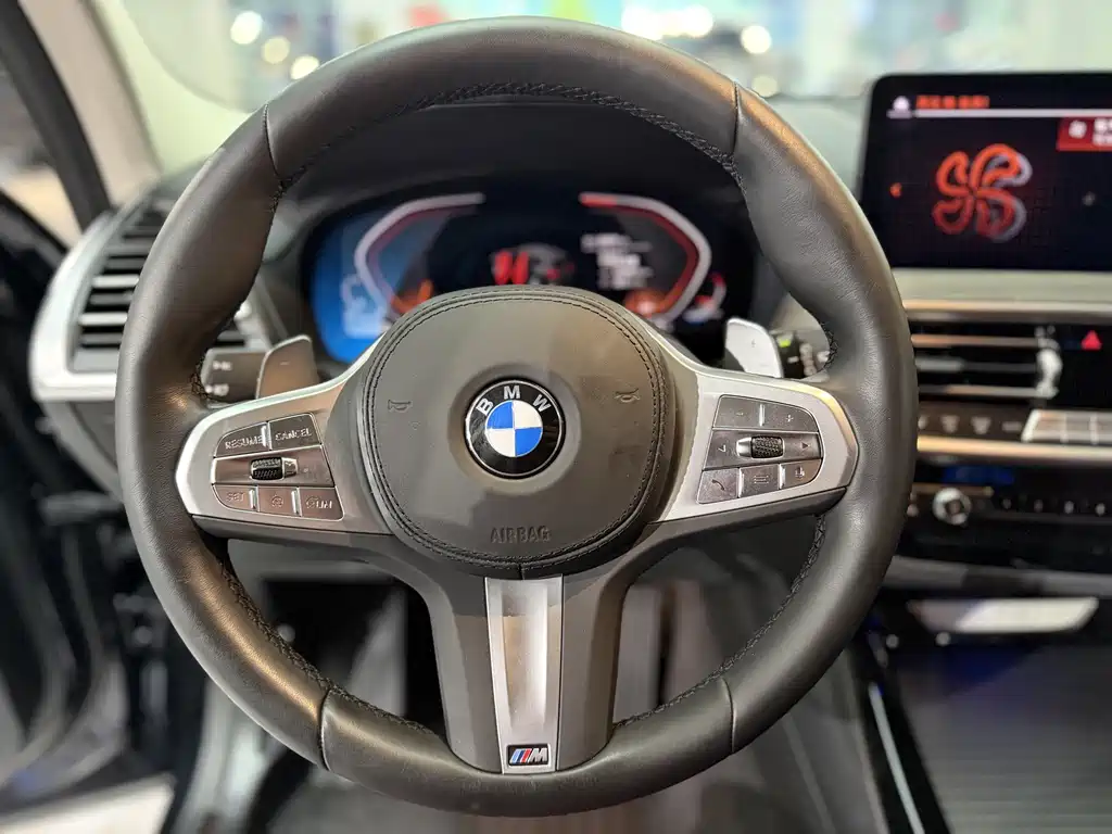 BMW X3 2023 xDrive30i Lead M