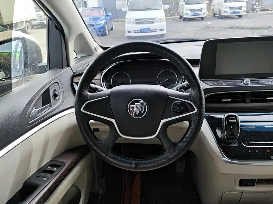 Buick GL8 — миниатюра 15