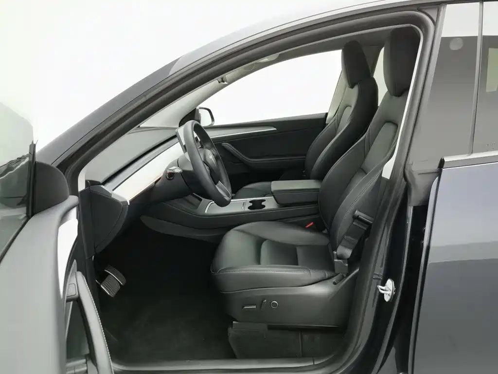 Tesla Model Y — миниатюра 10