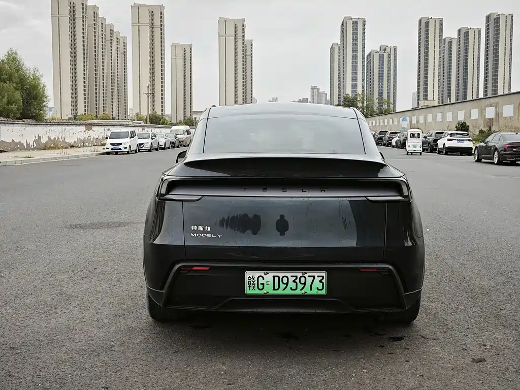 Tesla Model Y — миниатюра 8