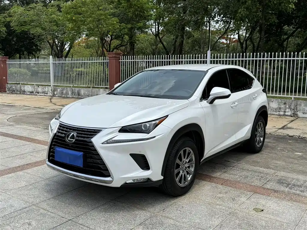 Lexus NX 2020 200 FWD Edge Travel Edition China V