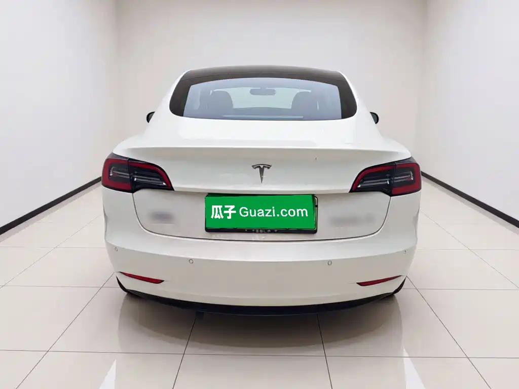 Tesla Model 3 — миниатюра 5