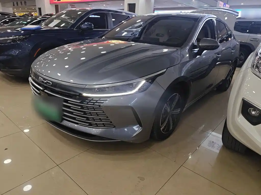 BYD Destroyer 05 2022 DM-i 55KM Luxury