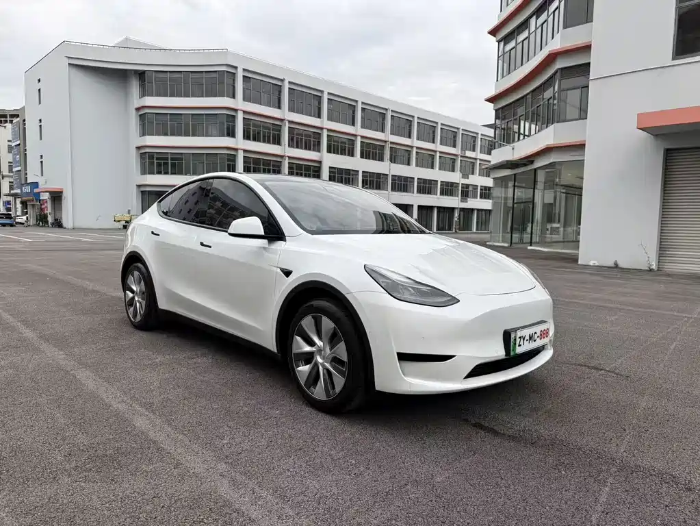 Tesla Model Y — миниатюра 3