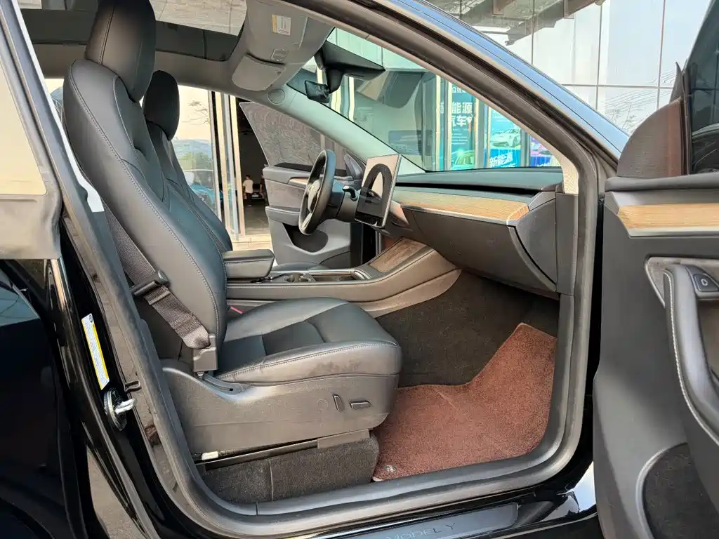 Tesla Model Y — миниатюра 11