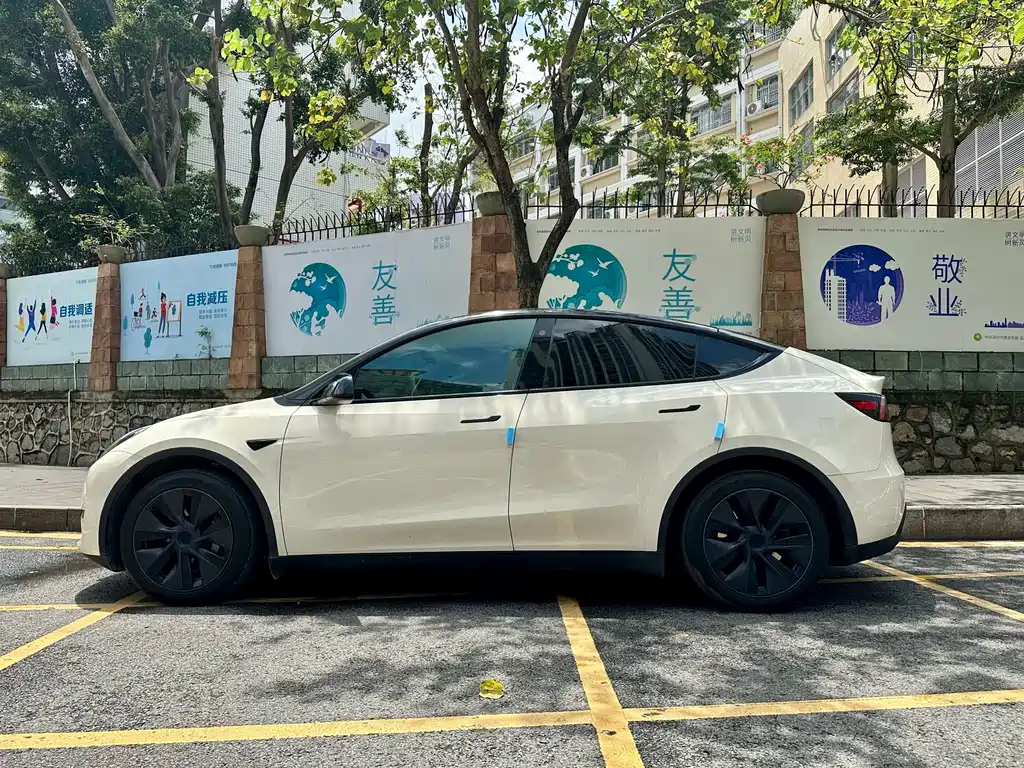 Tesla Model Y — миниатюра 3