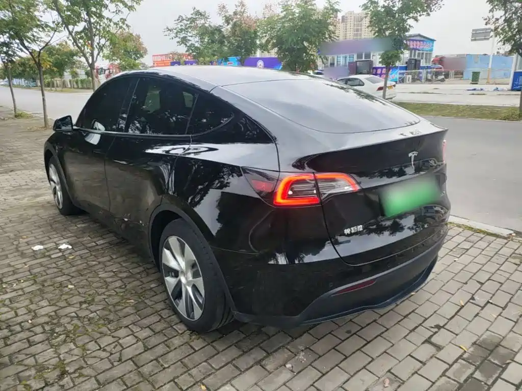 Tesla Model Y — миниатюра 5