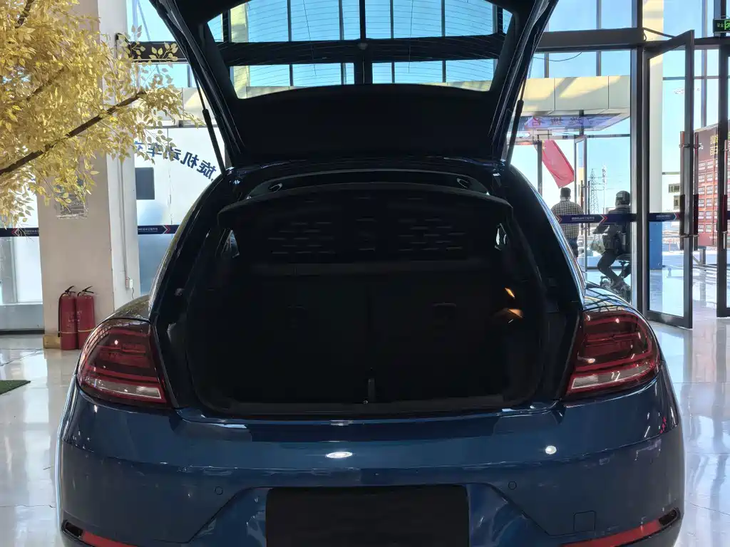 Volkswagen Beetle — миниатюра 24