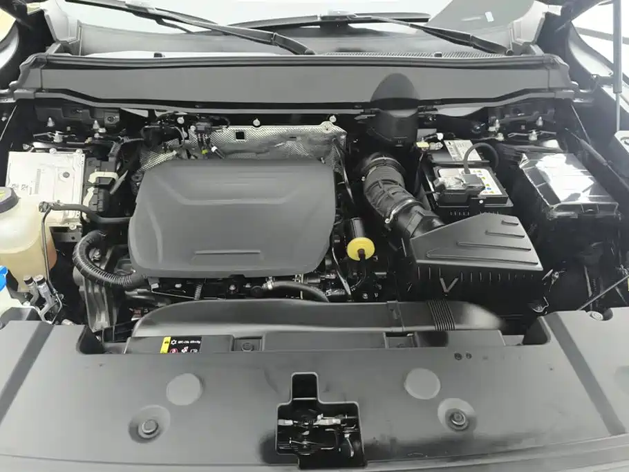 Haval Big Dog PLUS — миниатюра 10