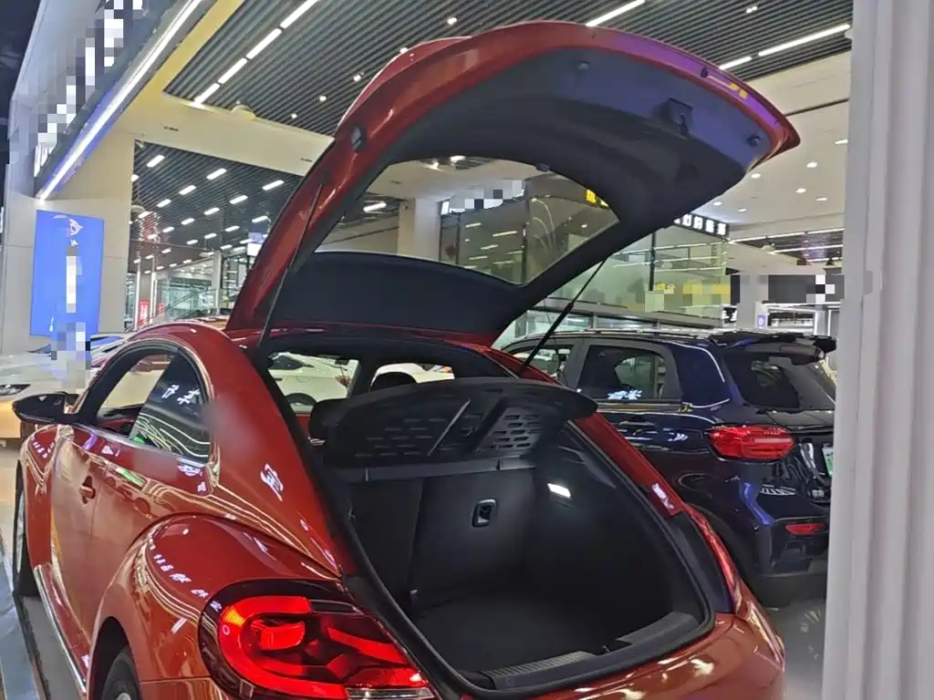 Volkswagen Beetle — миниатюра 19