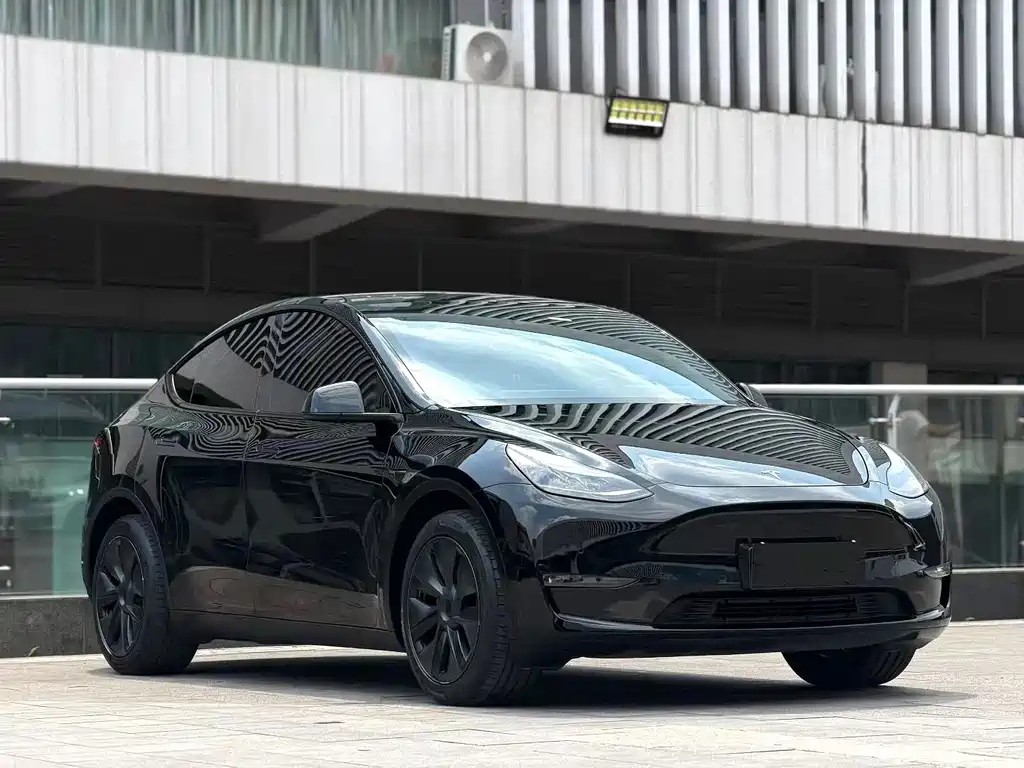 Tesla Model Y — миниатюра 2