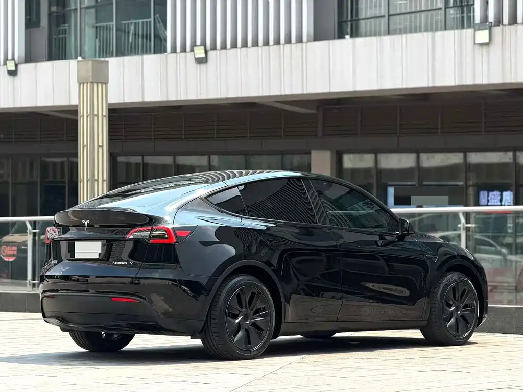 Tesla Model Y — миниатюра 4