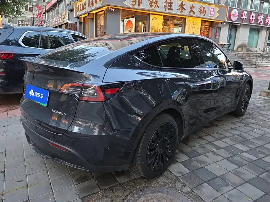 Tesla Model Y — миниатюра 3