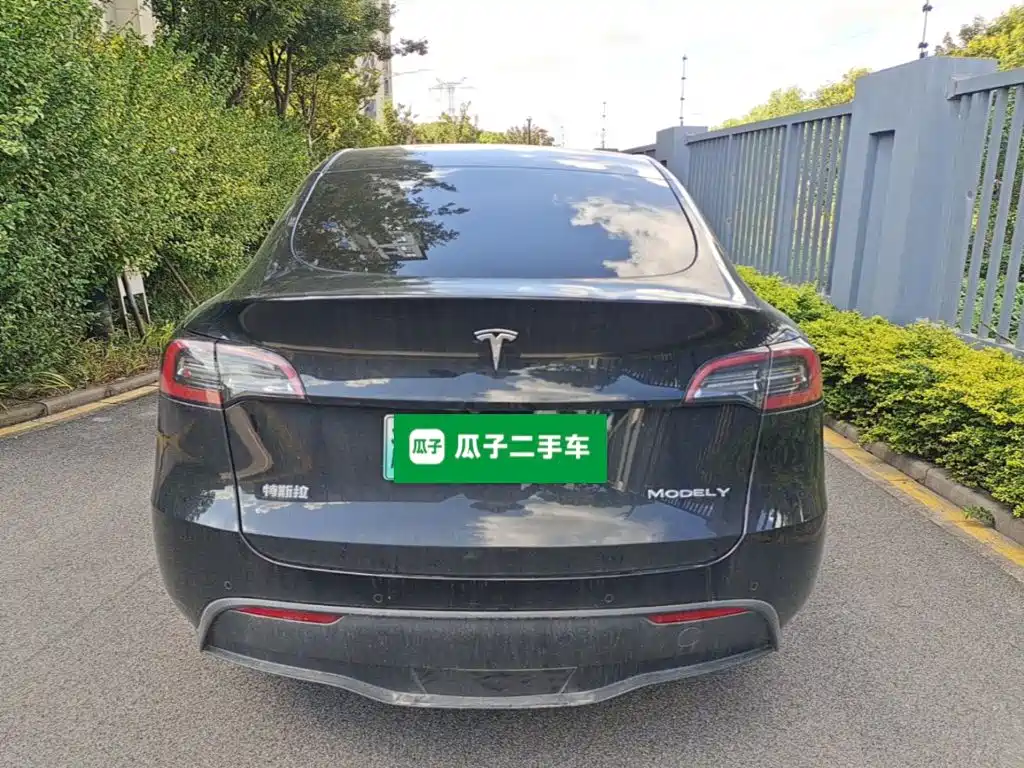 Tesla Model Y — миниатюра 6