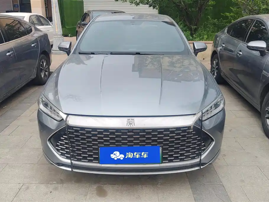 BYD Destroyer 05 2024 DM-i 55KM Luxury