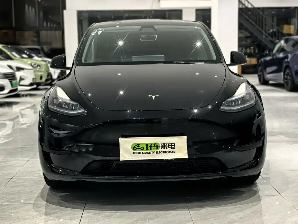 Tesla Model Y — миниатюра 2