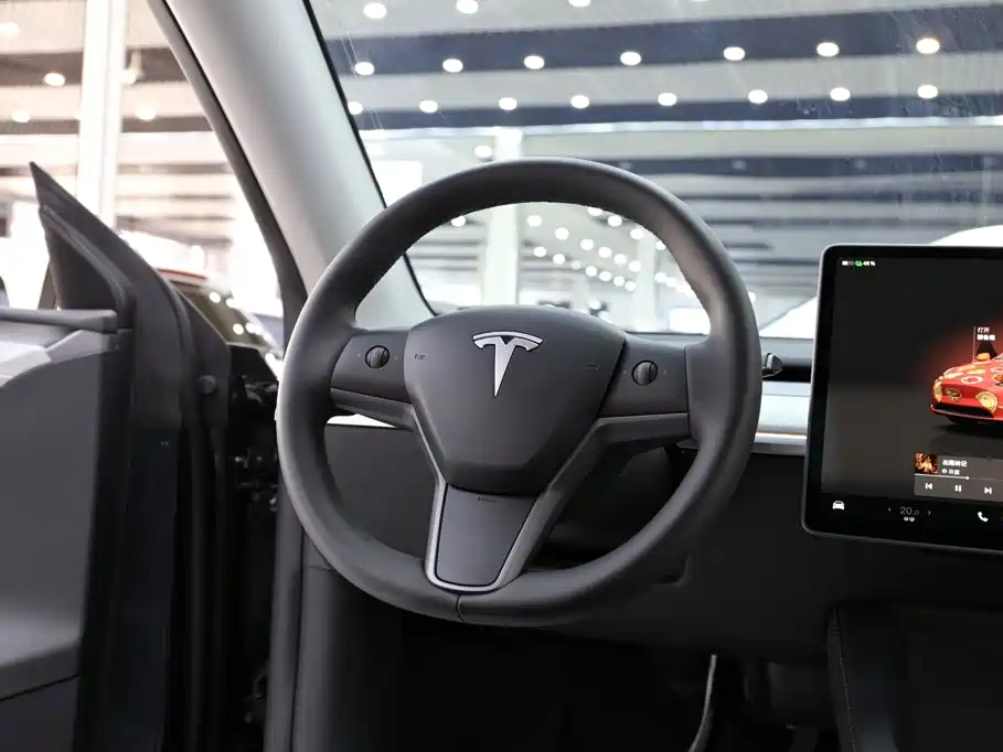 Tesla Model Y — миниатюра 11