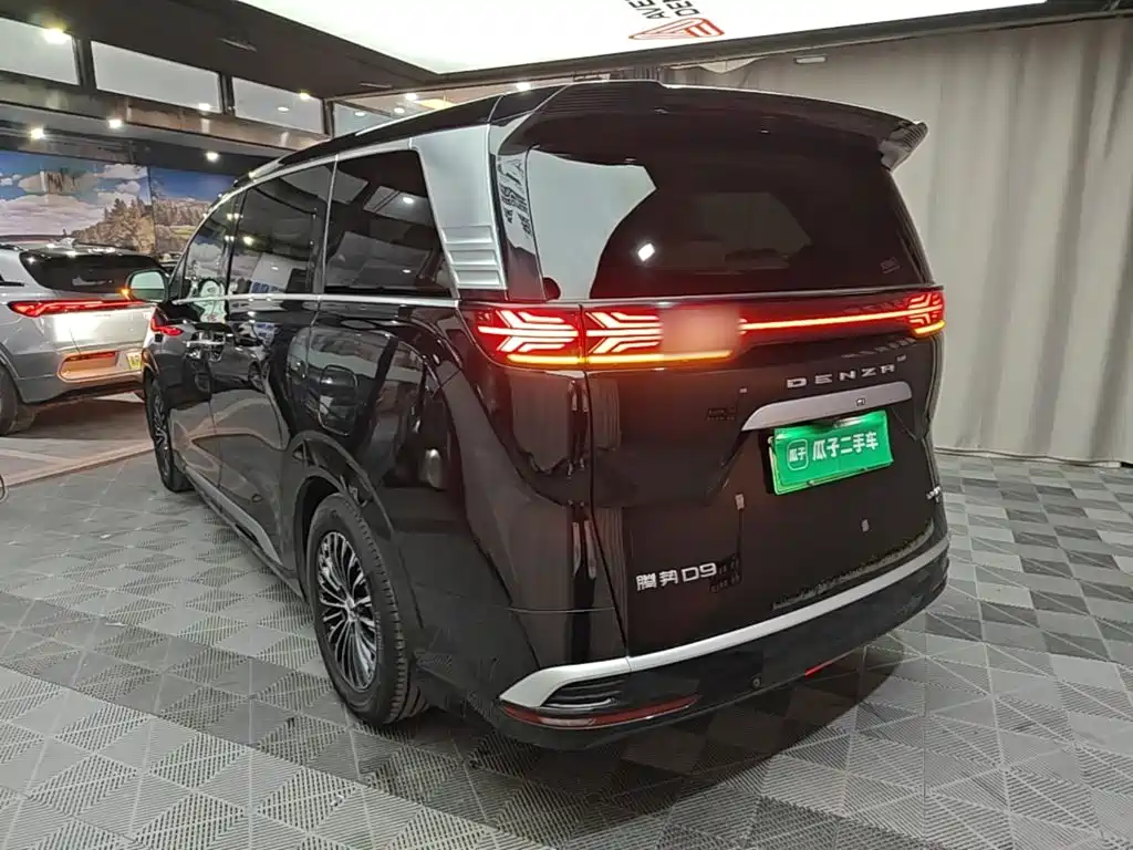 Denza Denza D9 — миниатюра 5
